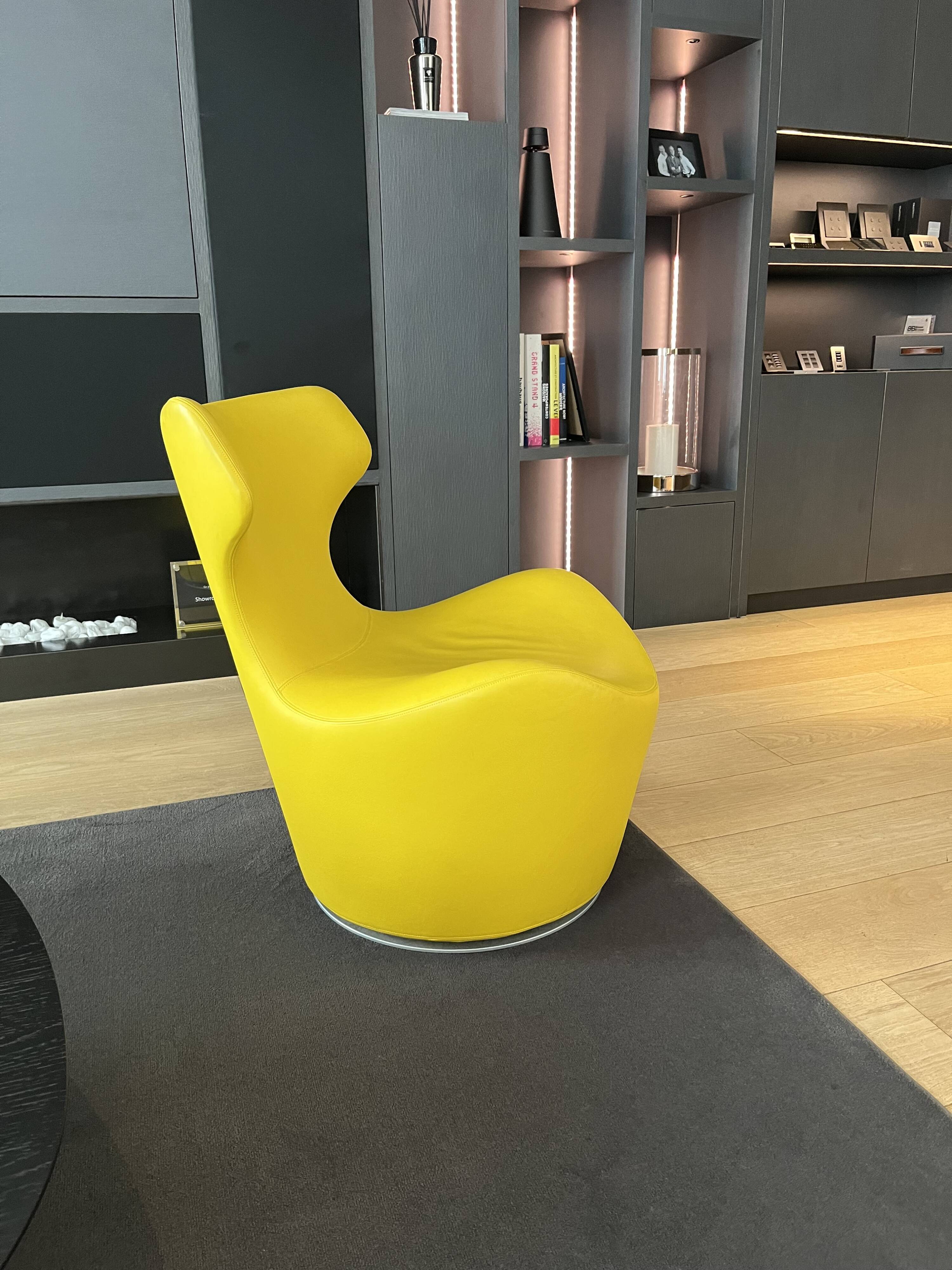 Paire de fauteuils PICCOLA PAPILIO cuir B&B Italia