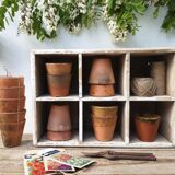 Terracotta seedlings