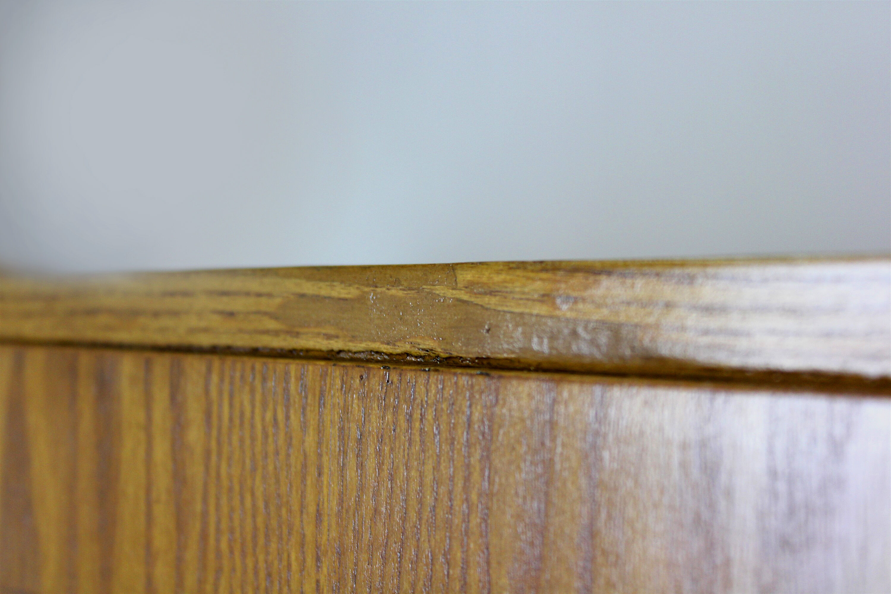 Armoires en frêne par Jitona en 1965