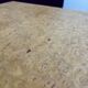 Vintage elm burl coffee table
