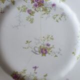 Porcelain dessert plates
