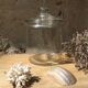 Vintage jar / candy