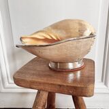 Cabinet of curiosities giant shell circled cup and base 60s