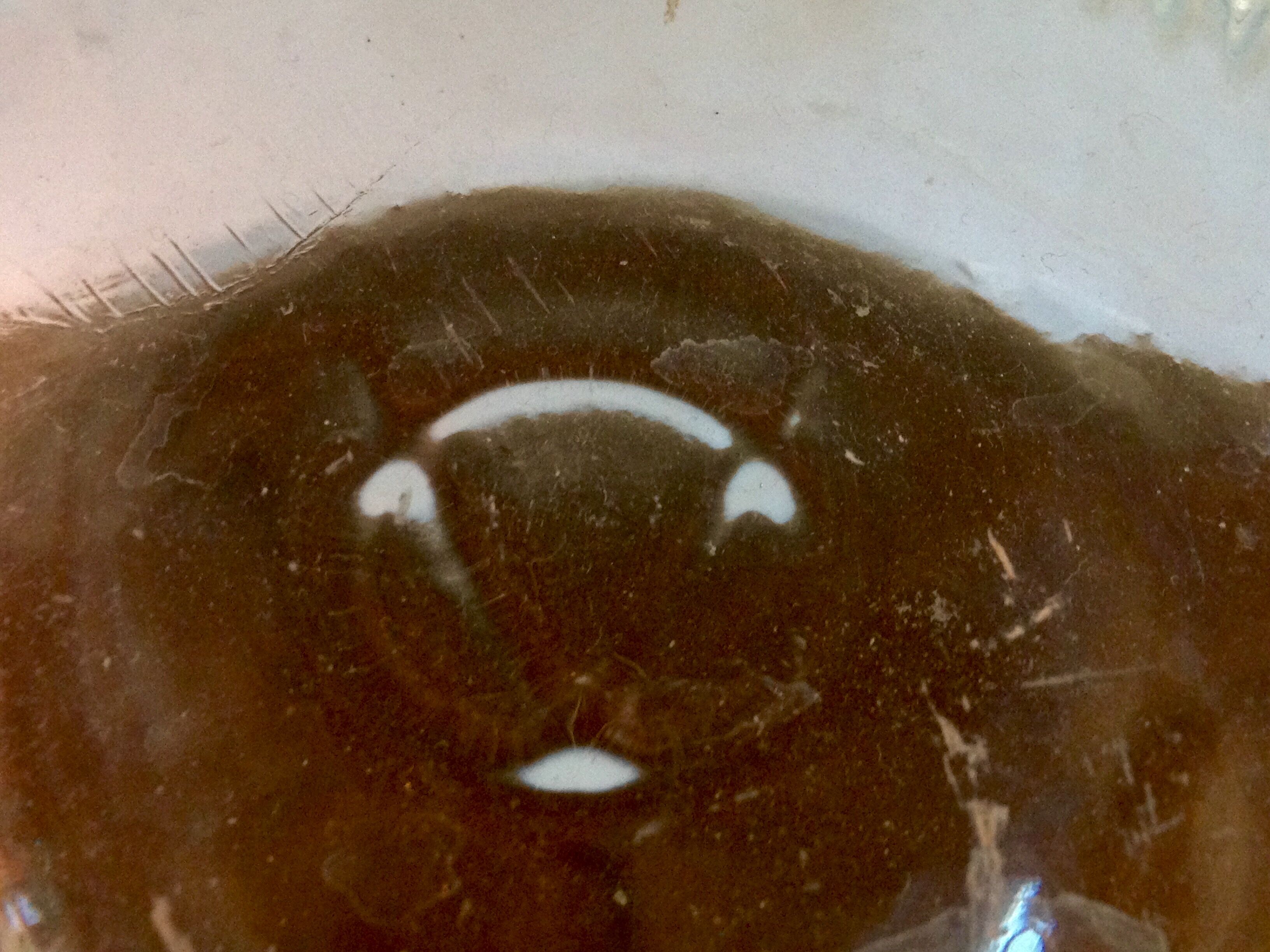 Lady Jeanne atypical 16 L, flared neck