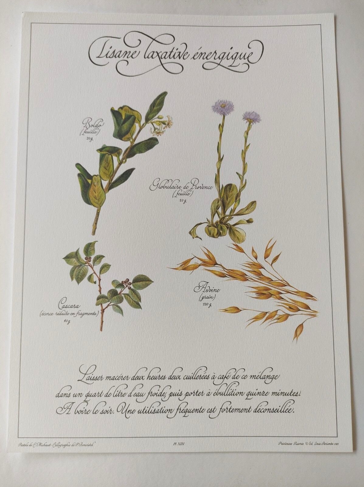 Engraving medicinal plants -Energetic laxative herbal tea- Botanical illustration
