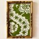 Golden wooden frame with domino paper Antoinette Poisson 96C "Oratorio"