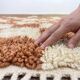 Tapis bérbere marocain décoré 200cmx300cm