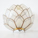 Wall lamp in vintage mother-of-pearl petals