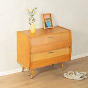 Cabinet à chaussures style mid-century, années 1950
