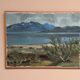 Swedish Oil on Canvas – “Sommardag” by John Fritz Ahlnander