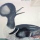 2 plates of ornithological bird engravings