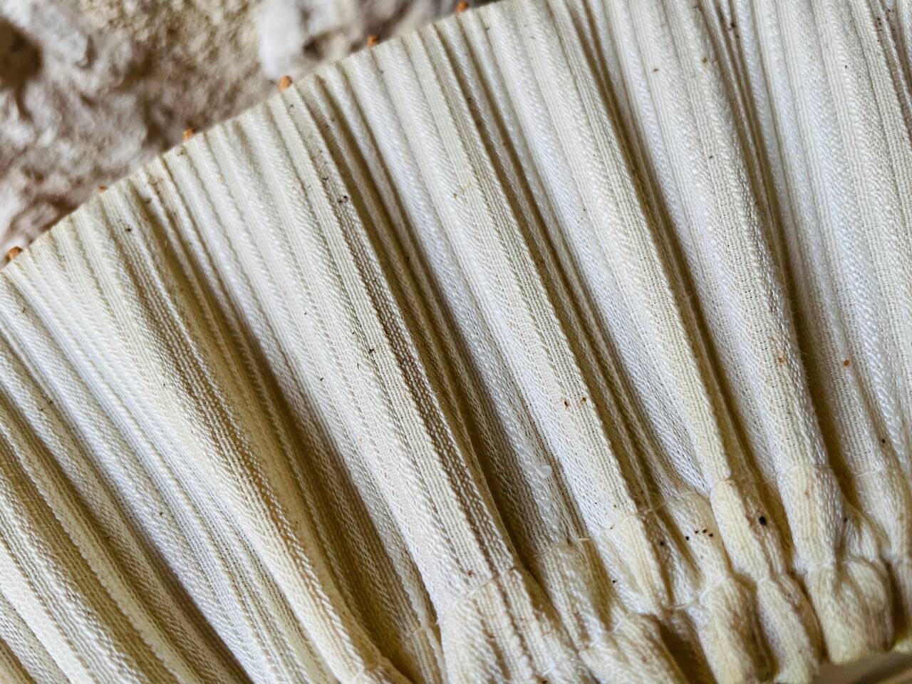 Vintage Pendant Lamp, Scandinavian Style, Circa 70's/80's