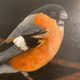 Bird painting on wood