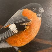 Bird painting on wood