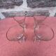 Bistro glasses