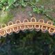 Rattan mirror Italy design