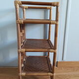 Light rattan shelf with canning