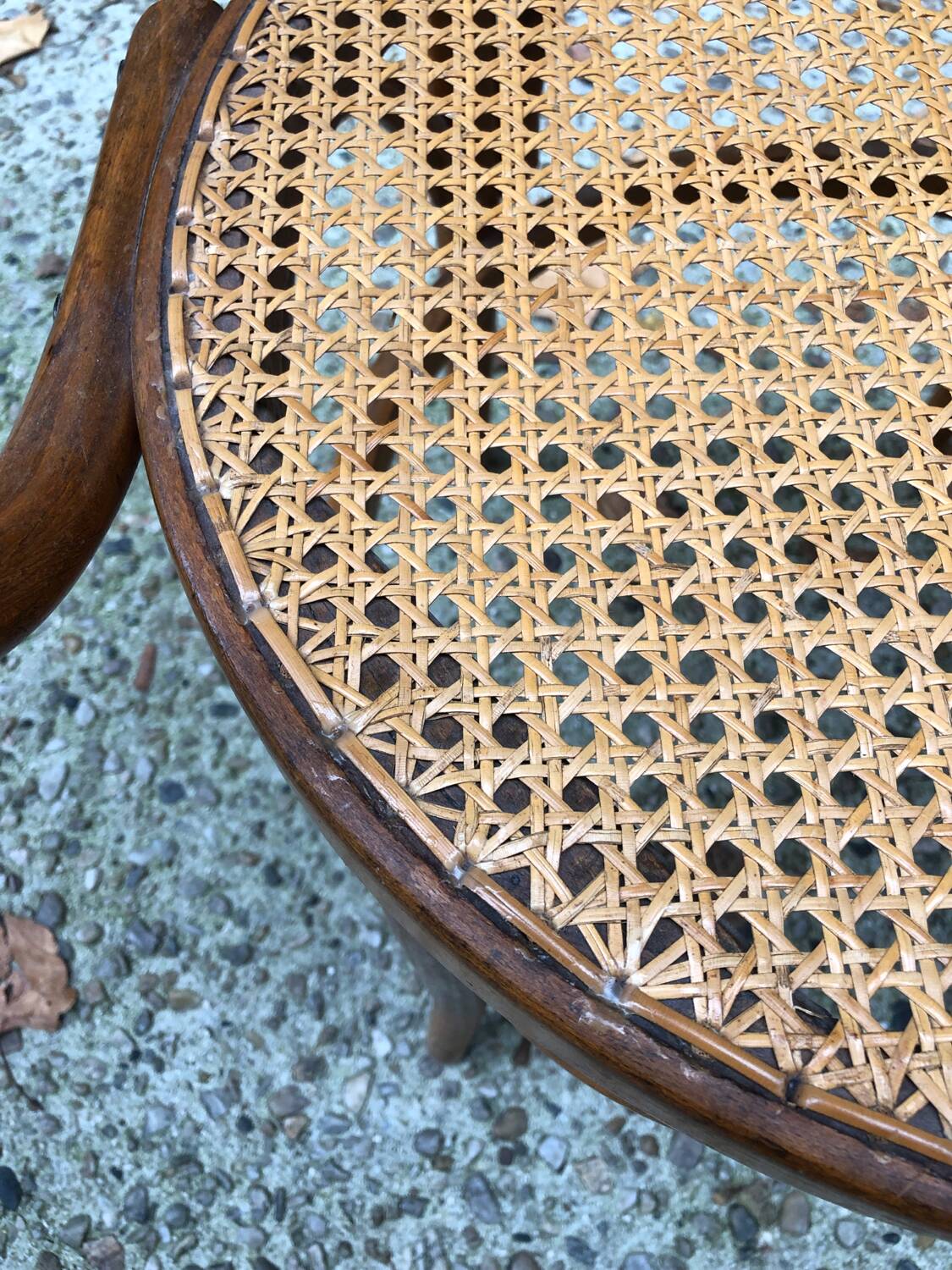 Armchair in bentwood and caning