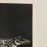 Mario avati (1921-2009), alligator, black and white, 1970