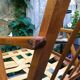 Pair of Thonet armchairs
