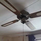 Palm fan light