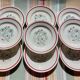 Gien dinner plates