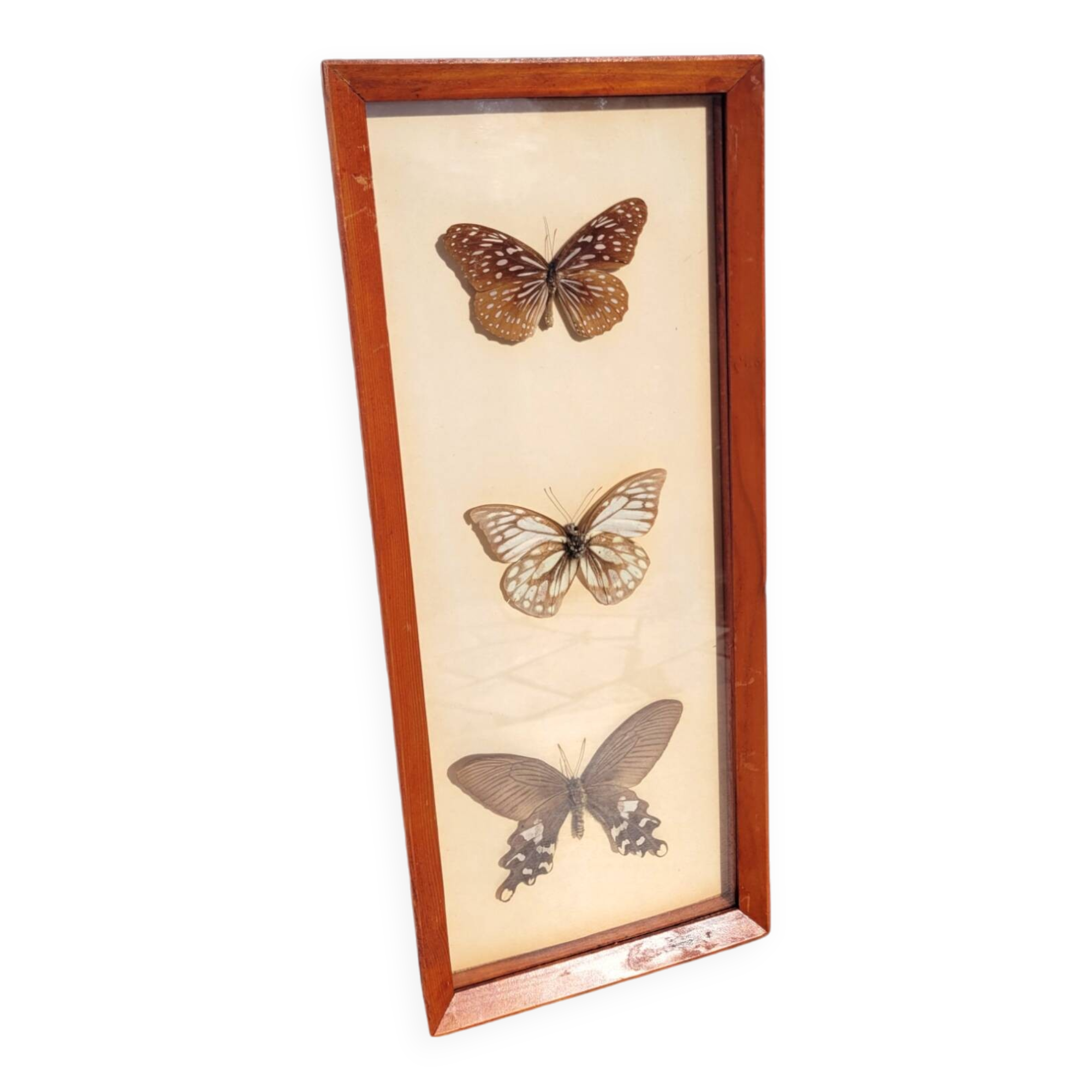 Painting with 3 butterflies