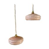 Vintage suspension duo