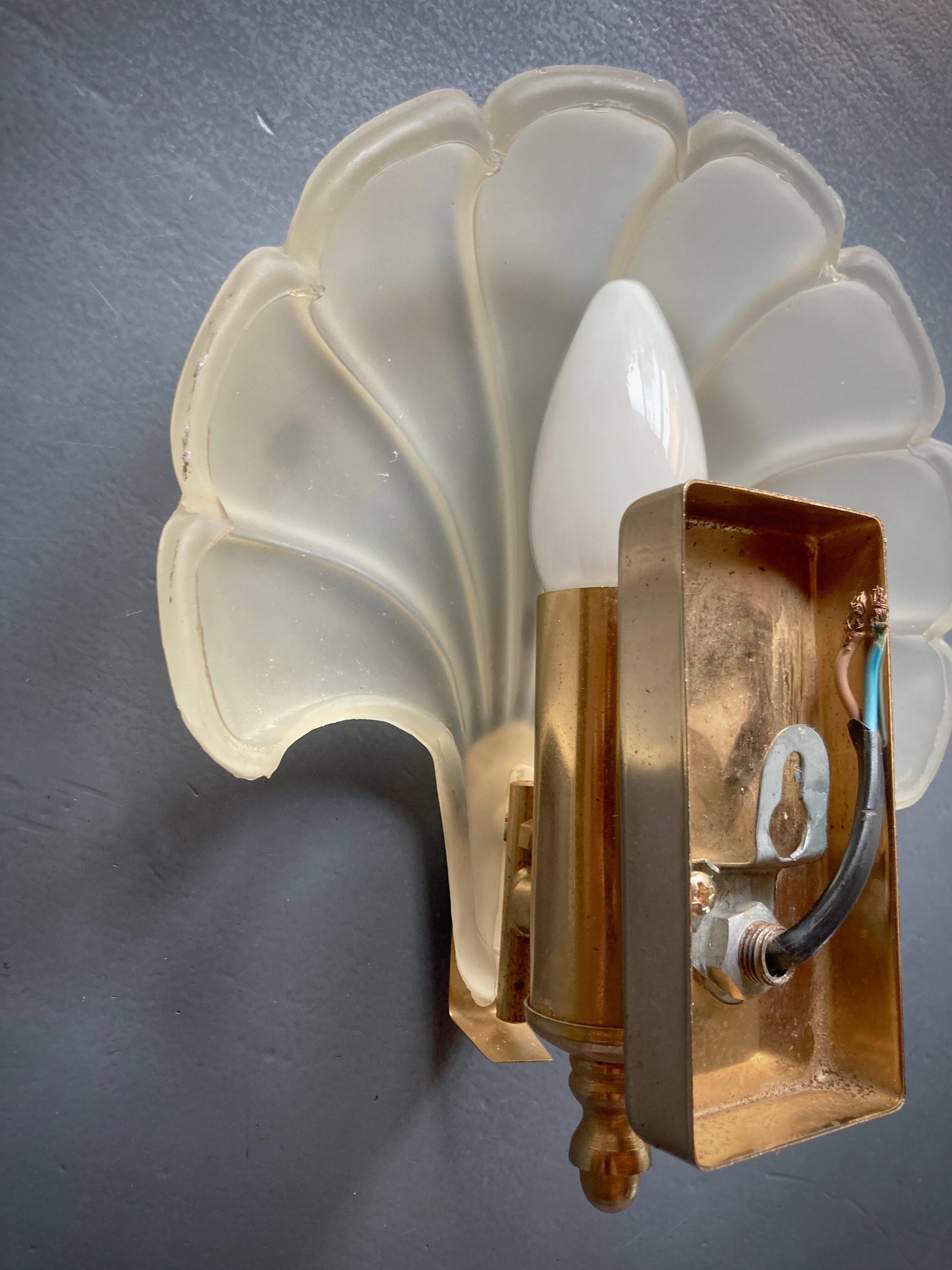 Frosted glass shell wall lamps