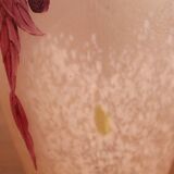 Legras vase ruby series in flowers in acid-etched glass