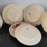 11 Flat plates flower Moulin des Loups and hamage