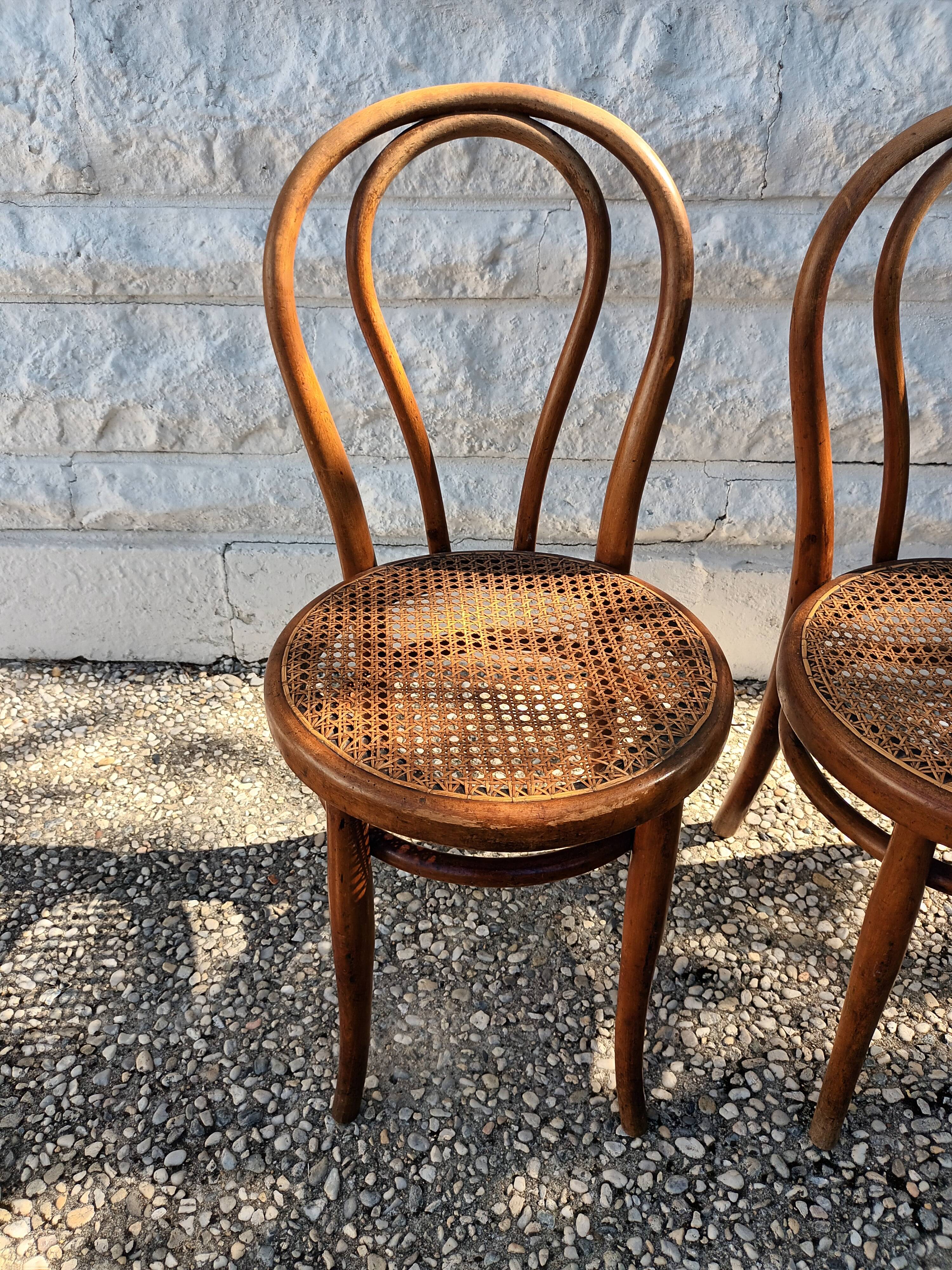 Canned chairs Thonet