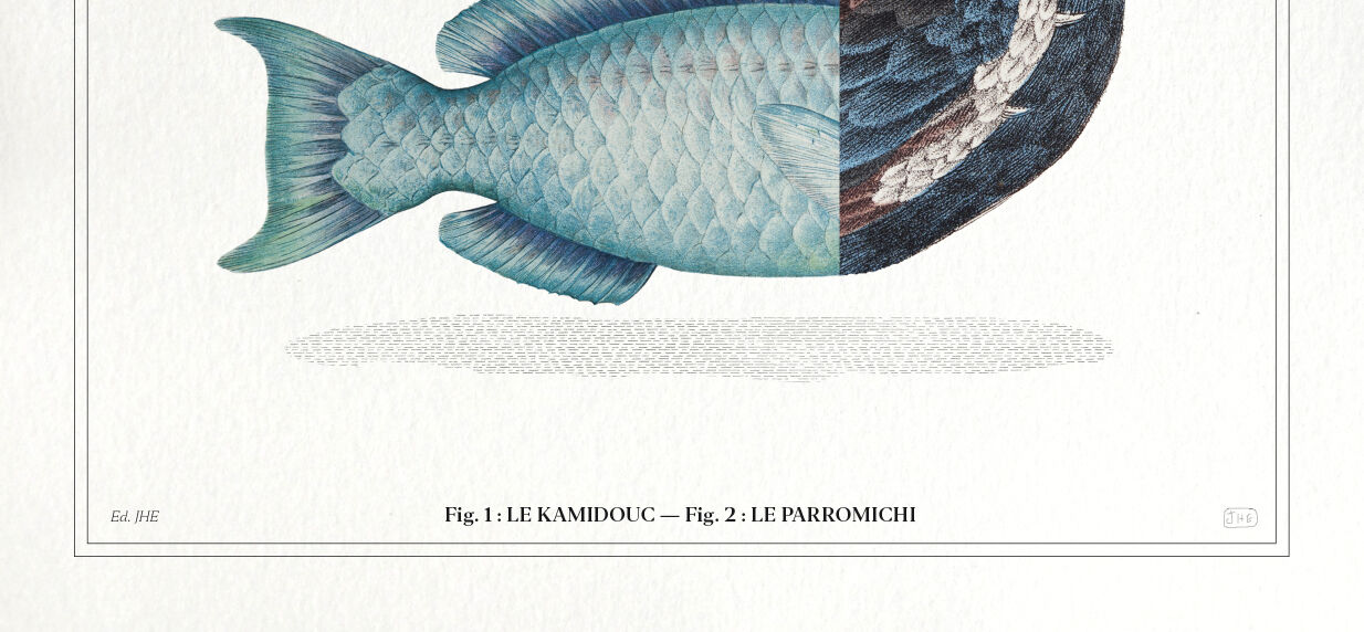 2 Chimeras lithography animal engraving