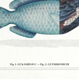 2 Chimeras lithography animal engraving