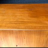 Scandinavian teak furniture Poul Cadovius, Cado 1960