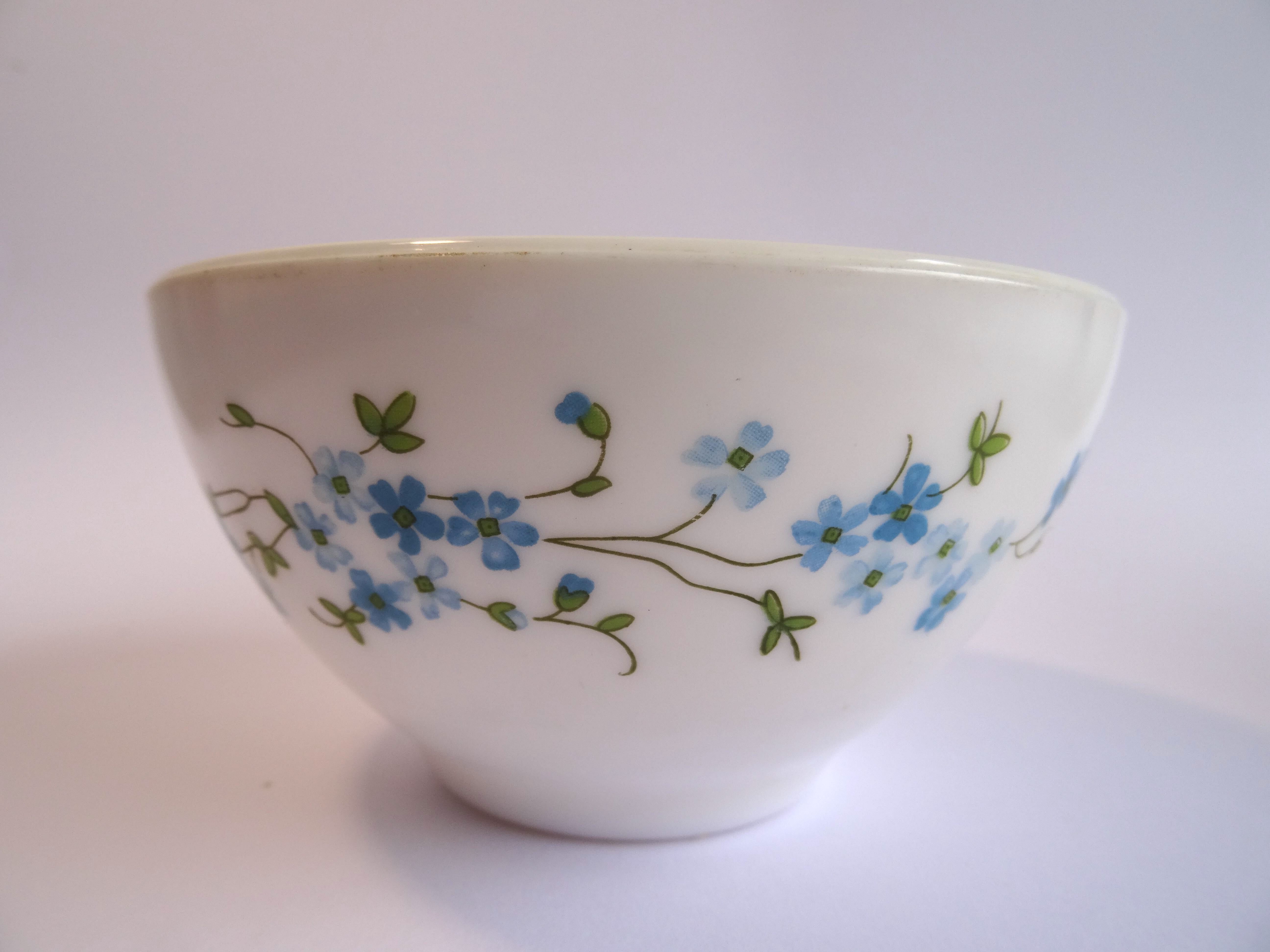 Bol arcopal veronica