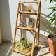 Vintage folding bamboo shelf 1950