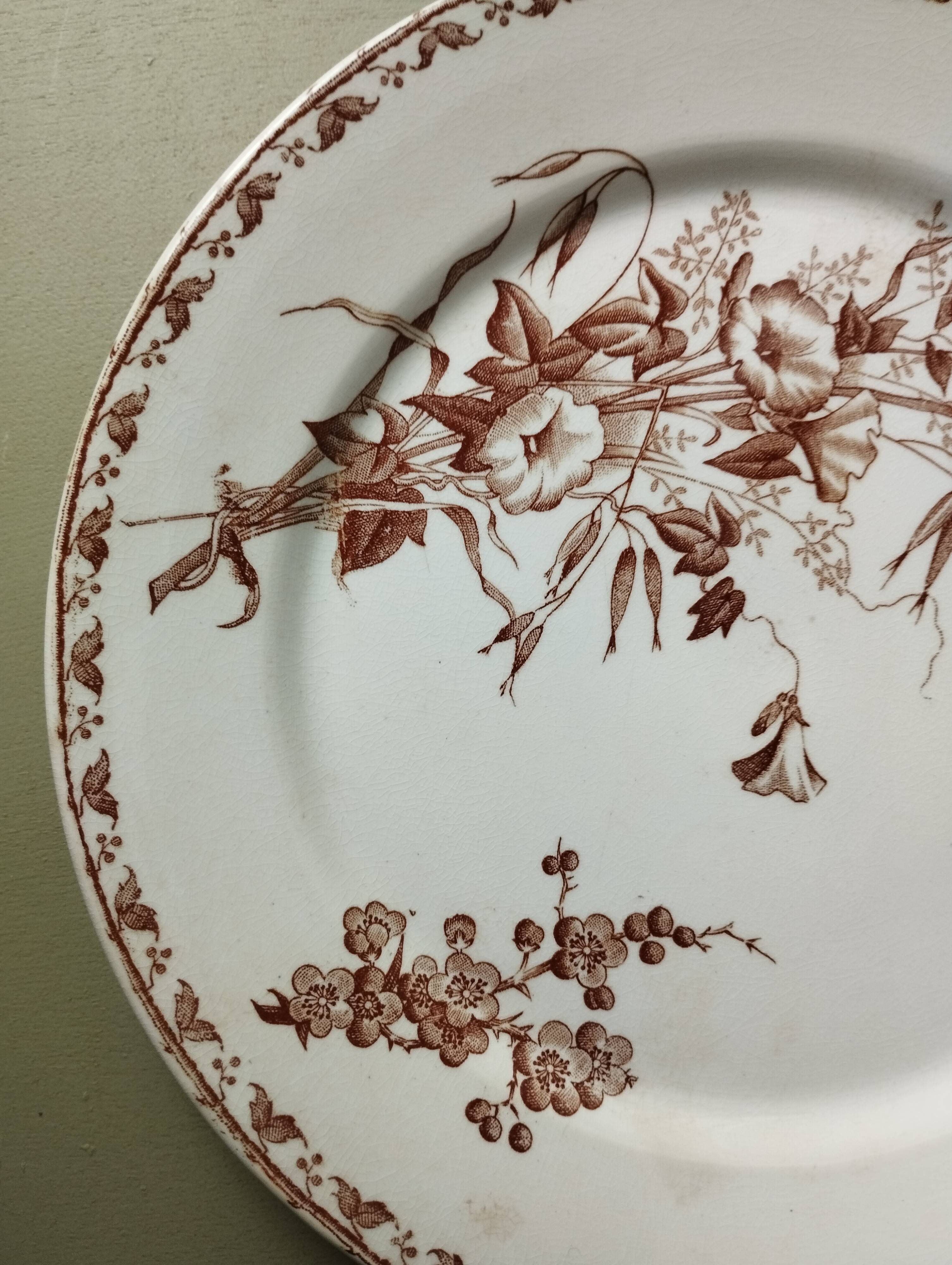 "Carmen" - Set of flat plates Ø 22.5cm ironstone Sarreguemines U&C