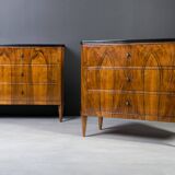 Set of 2 Identical Biedermeier Chests of Drawers, Germany, 19th Century, Wa