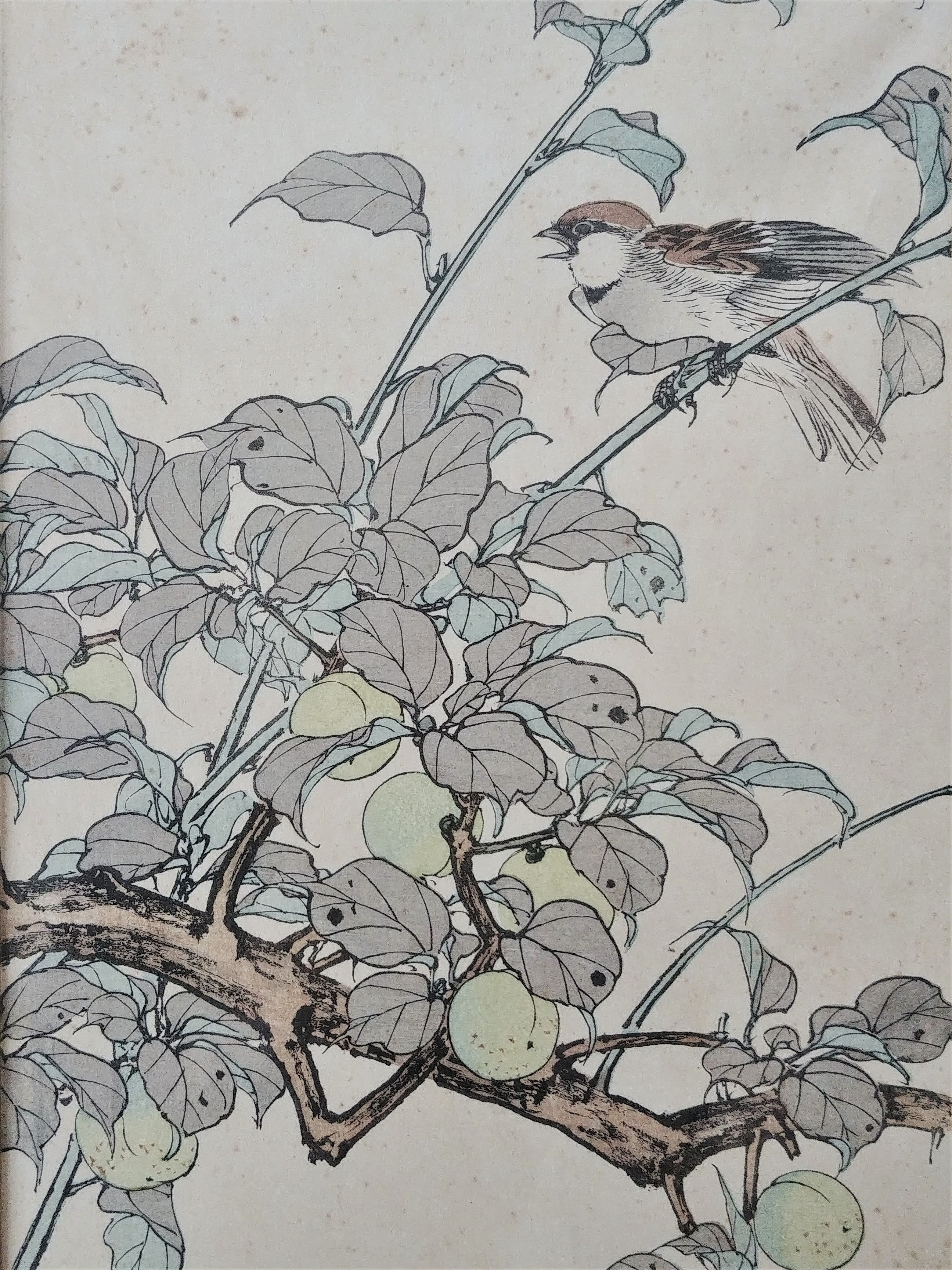 Paire d'estampes japonaises