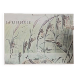 Dragonfly school poster