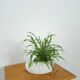 vintage porcelain flower pot in the shape of a swan