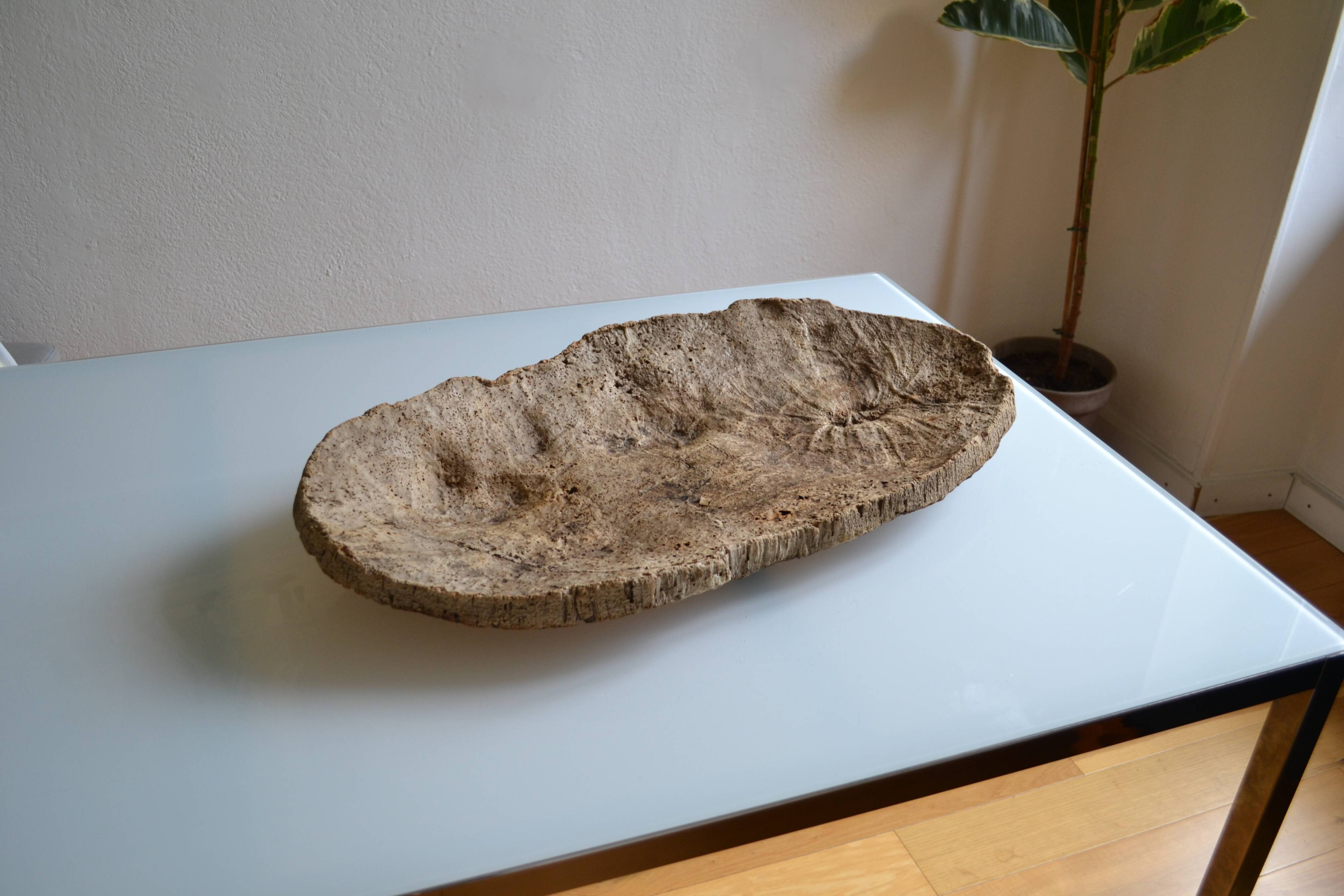 Provençal couasse giant dish in cork oak bark 72 / 37 cm