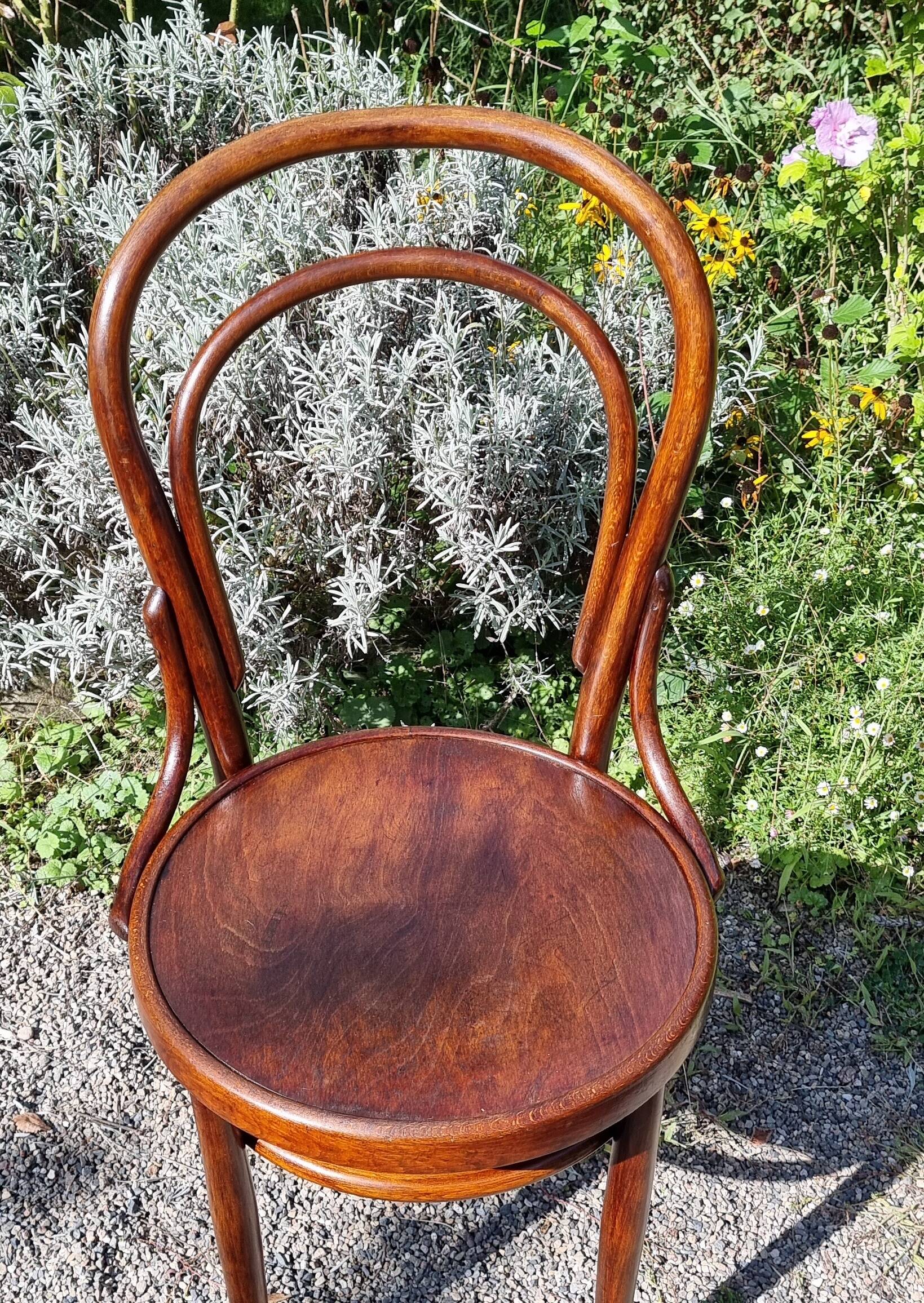 Bistro chair n°14 early 20th century