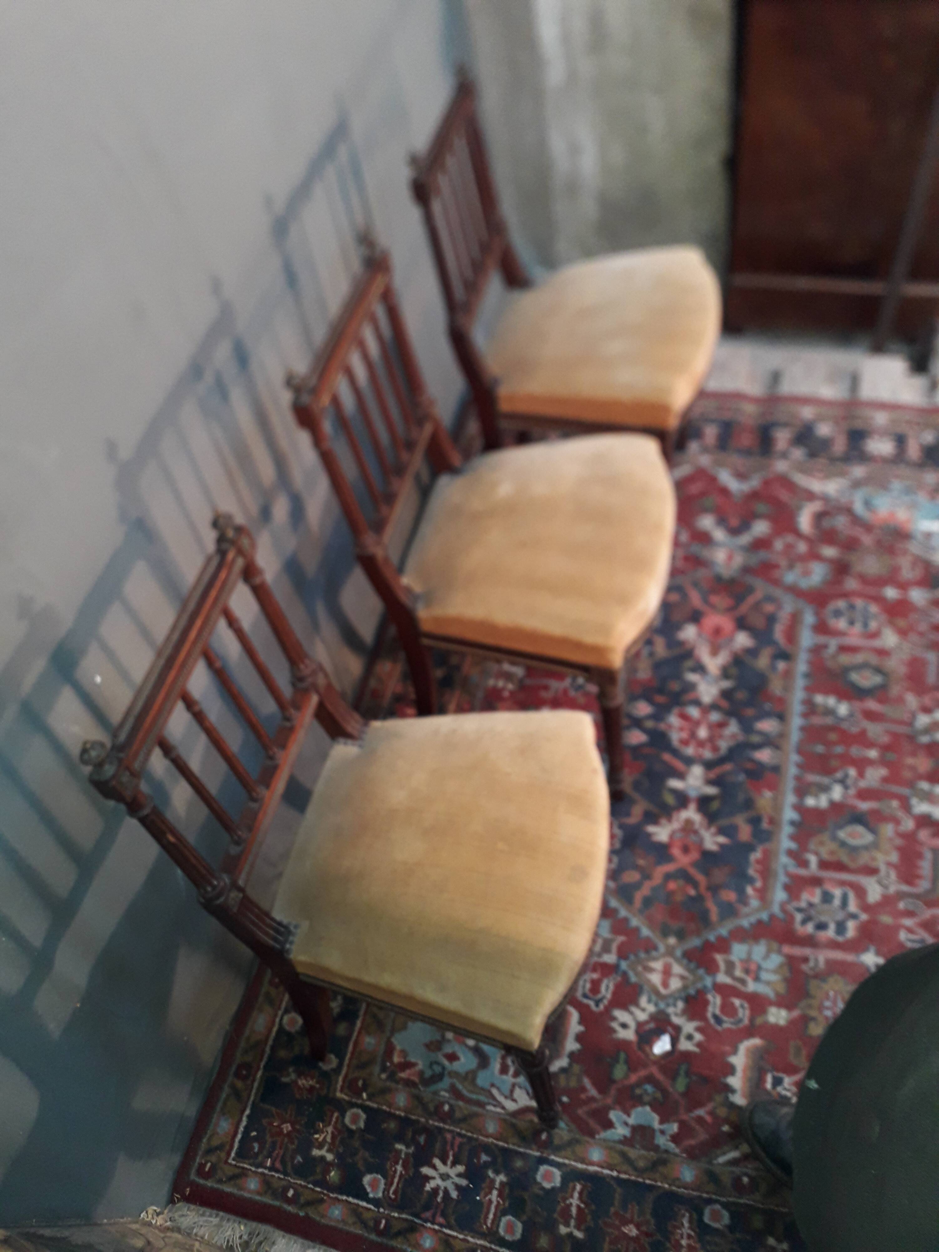 Trois chaises en acajou style Louis XVI