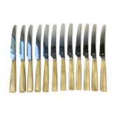 12 vintage knives NOGENT Bakélite imitation ivory