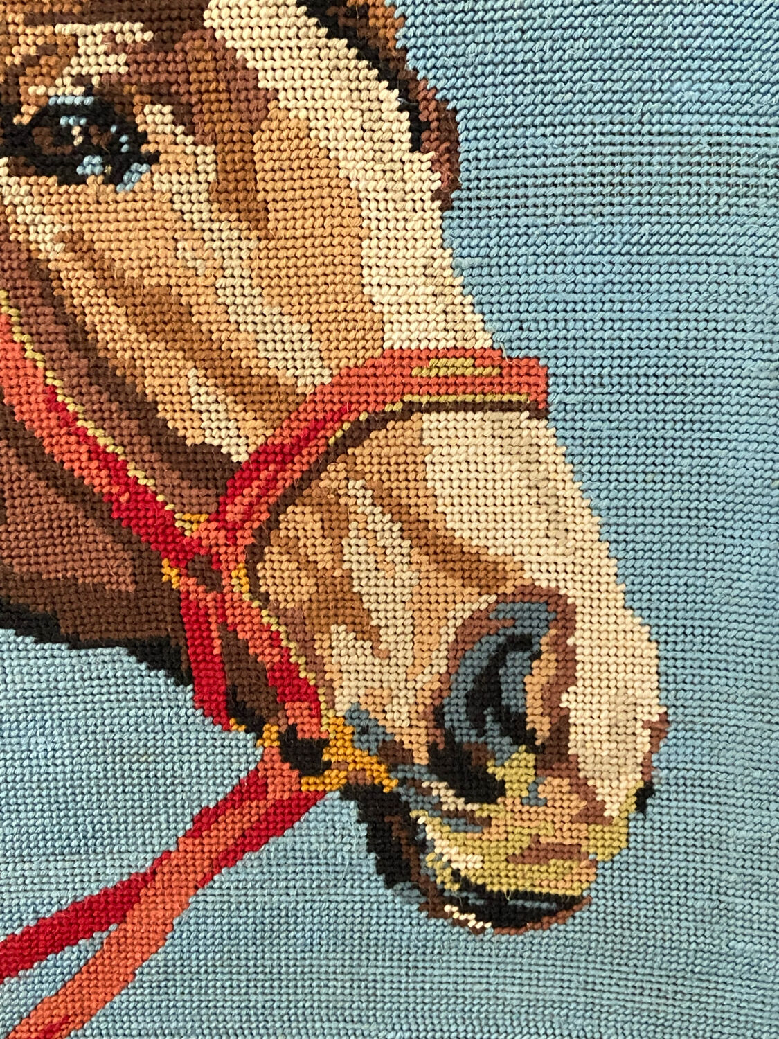 Canvas , horse's head