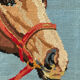 Canvas , horse's head