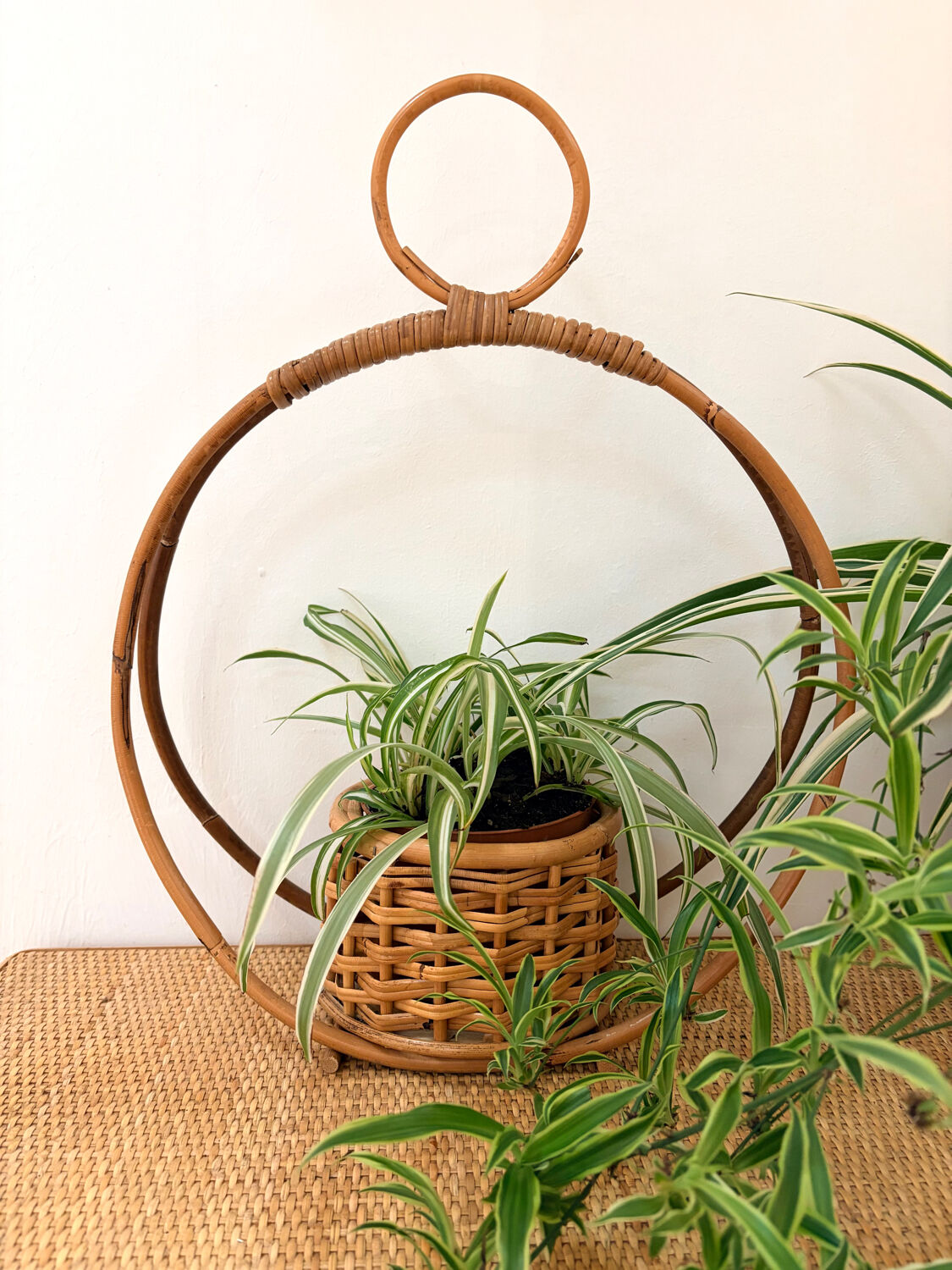 Bamboo and rattan plant holder or pot cover - 1970s