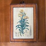 Set of 4 botanical plates